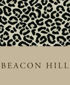 Beacon Hill